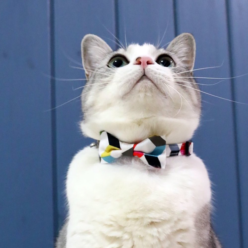 Bowtix Handmade Cat Collar With Removable Bowtie - Candy Strips - Kohepets