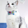 Bowtix Handmade Cat Collar With Removable Bowtie - Color Pops - Kohepets