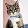 Bowtix Handmade Cat Collar With Removable Bowtie - Kiku Prints - Kohepets