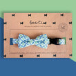 Bowtix Handmade Dog Collar With Removable Bowtie - Kiku Prints - Kohepets