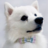 Bowtix Handmade Dog Collar With Removable Bowtie - Mulberry - Kohepets