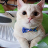 Bowtix Handmade Cat Collar With Removable Bowtie - Kukki Kukkii Clouds - Kohepets