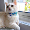 Bowtix Handmade Cat Collar With Removable Bowtie - Pelto Day - Kohepets