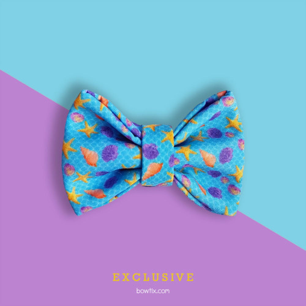 Bowtix Handmade Cat Collar With Removable Bowtie - Sea & Shell - Kohepets