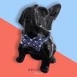 Bowtix Handmade Dog Collar With Removable Bowtie - Seas The Day - Kohepets