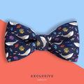 Bowtix Handmade Dog Collar With Removable Bowtie - Seas The Day - Kohepets