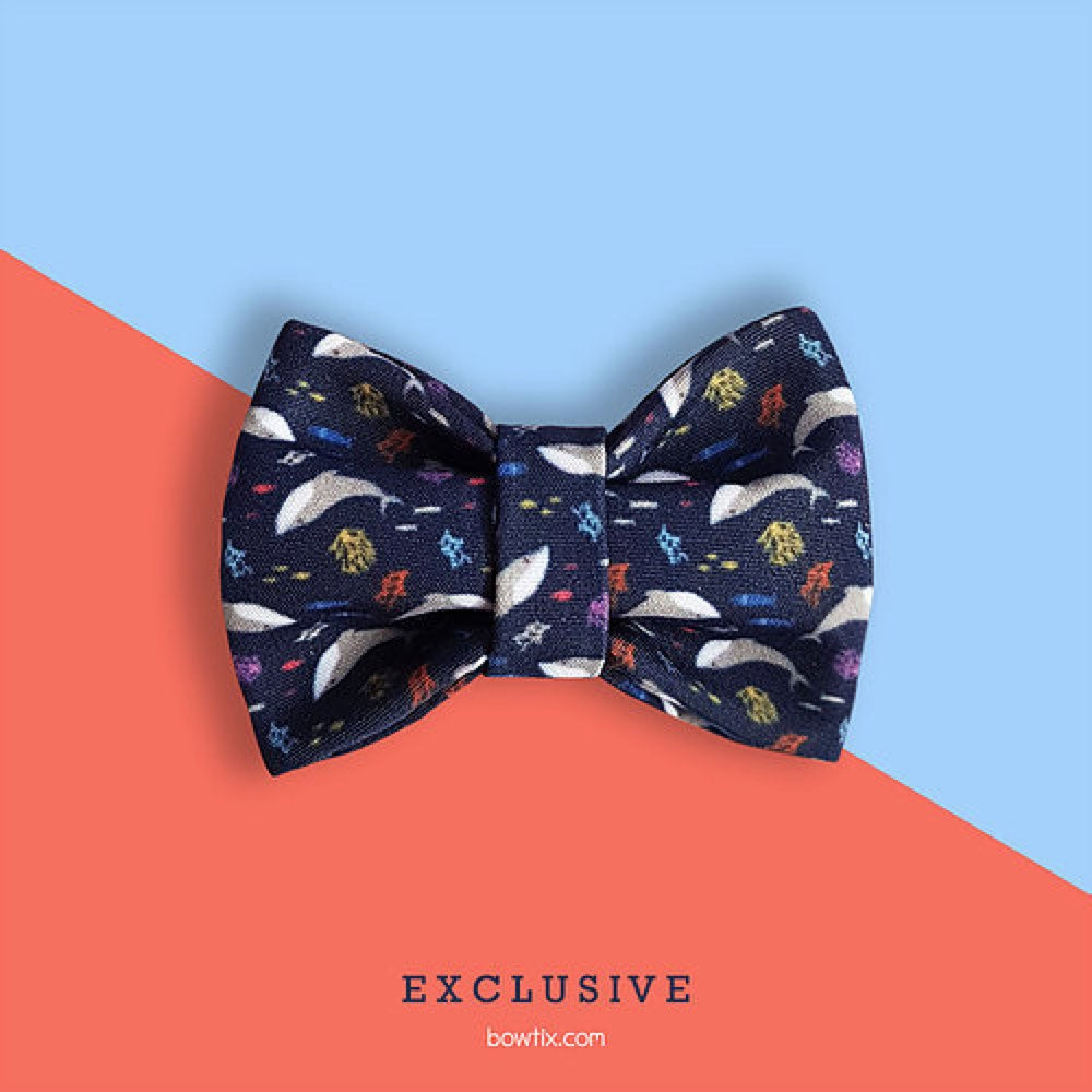 Bowtix Handmade Dog Collar With Removable Bowtie - Seas The Day - Kohepets