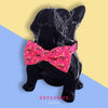 Bowtix Handmade Dog Collar With Removable Bowtie - Sweet Tooth - Kohepets