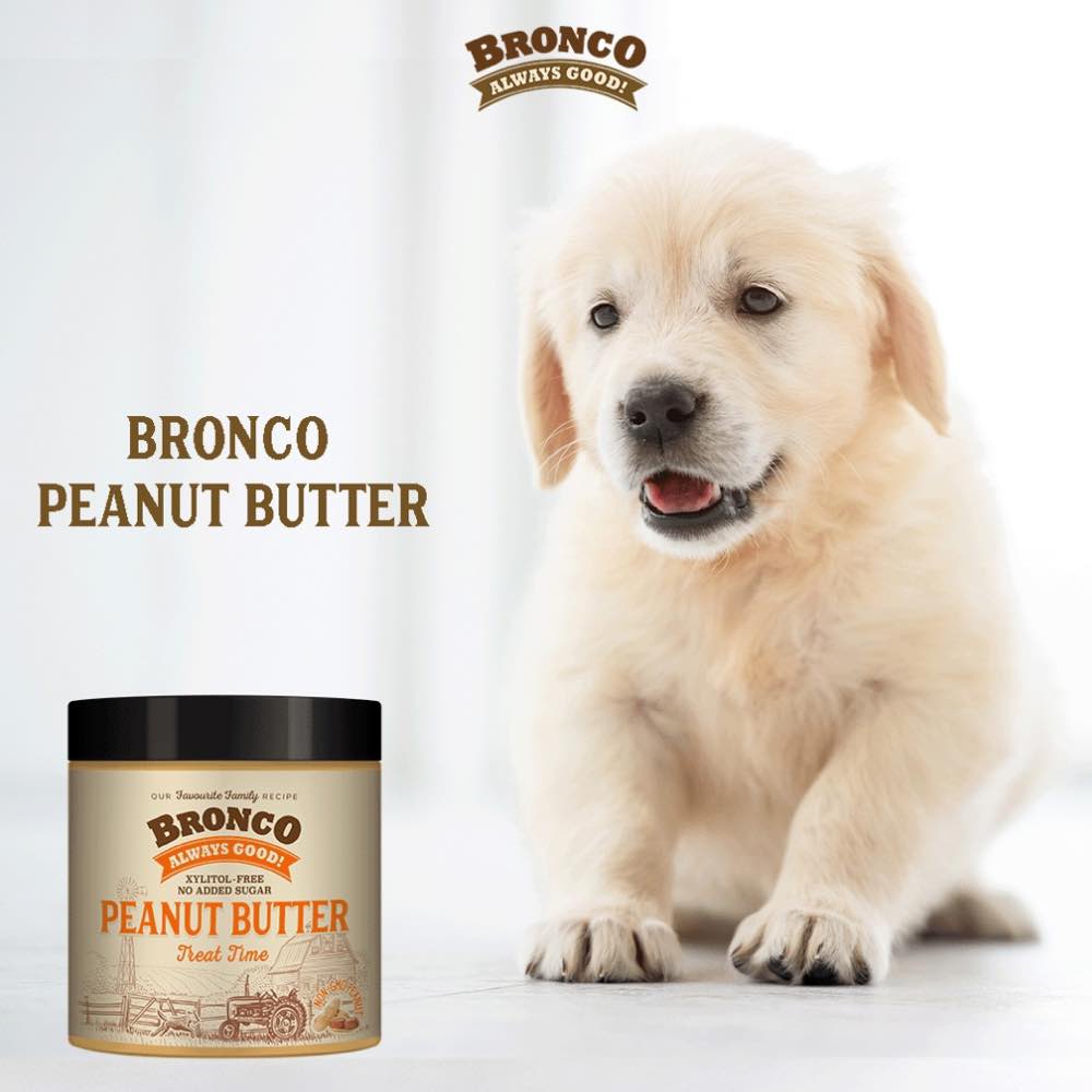 Bronco Peanut Butter Treat Time Dog Treat 250g - Kohepets