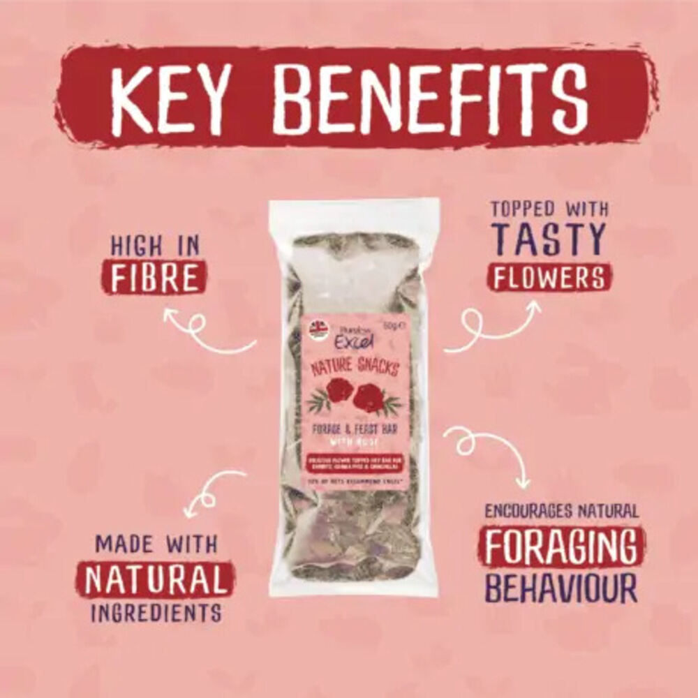 Burgess Excel Nature Snacks Forage & Feast Bar With Rose Hay Treat For Small Animals 60g