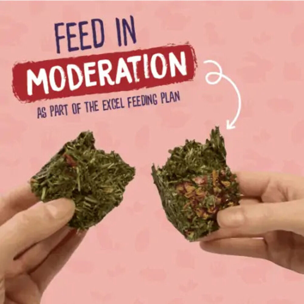 Burgess Excel Nature Snacks Forage & Feast Bar With Rose Hay Treat For Small Animals 60g