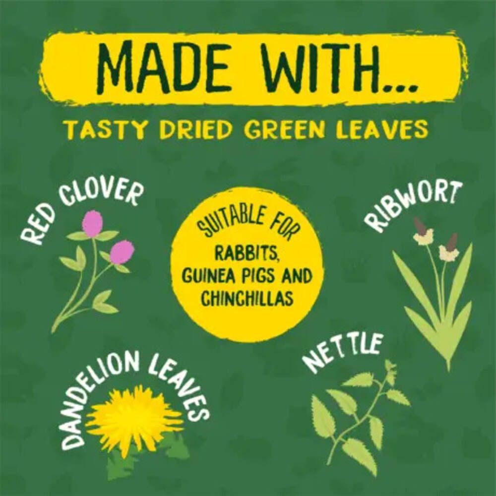 Burgess Excel Nature Snacks Luscious Leaves Treats For Small Animals 60g