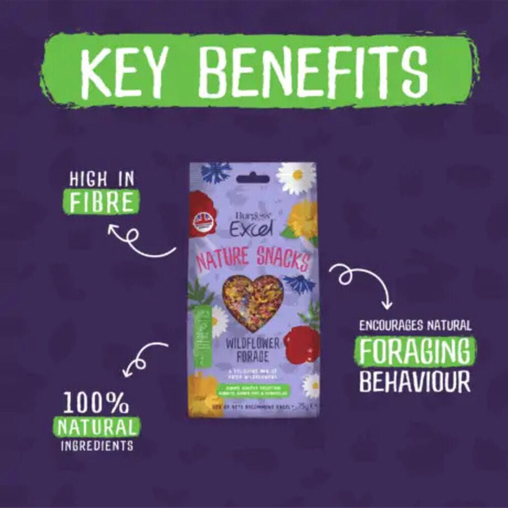 Burgess Excel Nature Snacks Wildflower Forage Treats For Small Animals 75g