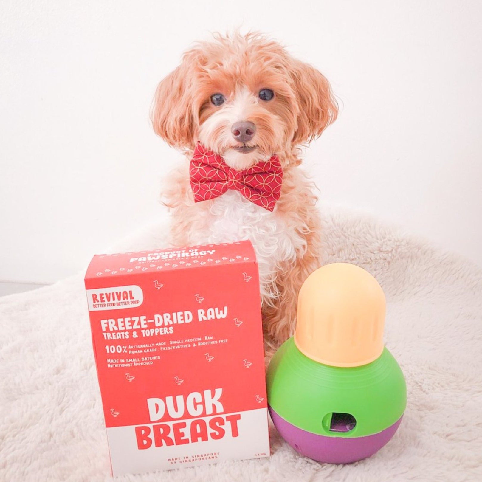 Revival Duck Breast Freeze-Dried Raw Treats For Cats & Dogs 50g - Kohepets