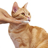 CattyMan Gentle Cat & Dog Toothbrush - Kohepets