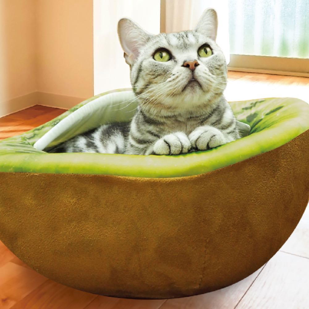 CattyMan Kiwifruit Cool Feel Cat Bed - Kohepets