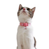 CattyMan Le Collier Luxe Cat Collar (Light Pink) - Kohepets