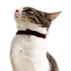CattyMan Le Collier Luxe Cat Collar (Velvet Wine) - Kohepets