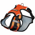 Coneck't Sport Dog Harness (Orange) - Kohepets