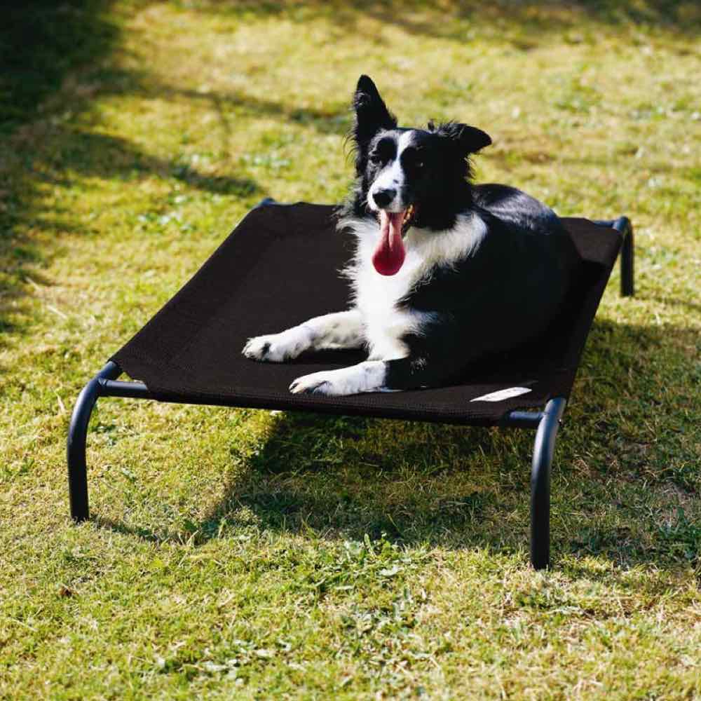 Coolaroo Elevated Knitted Fabric Pet Bed Black Kohepets