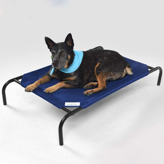 15% OFF: Coolaroo Elevated Bed For Cats & Dogs (Aquatic Blue)