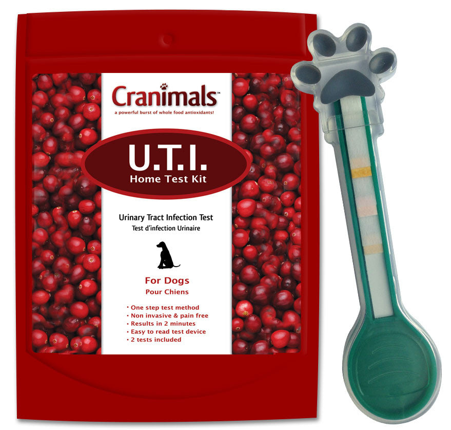 Cranimals Urinary Tract Infection Test Kit For Dogs - Kohepets