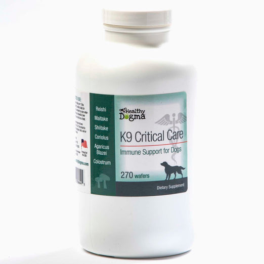 Healthy Dogma K9 Critical Care Immune Support Dog Supplement - Kohepets