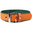 Das Lederband Firenze Leather Dog Collar (Orange/Forest)