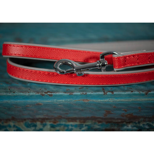 10% OFF: Das Lederband Firenze Leather Dog Leash (Carnelian/Stone)