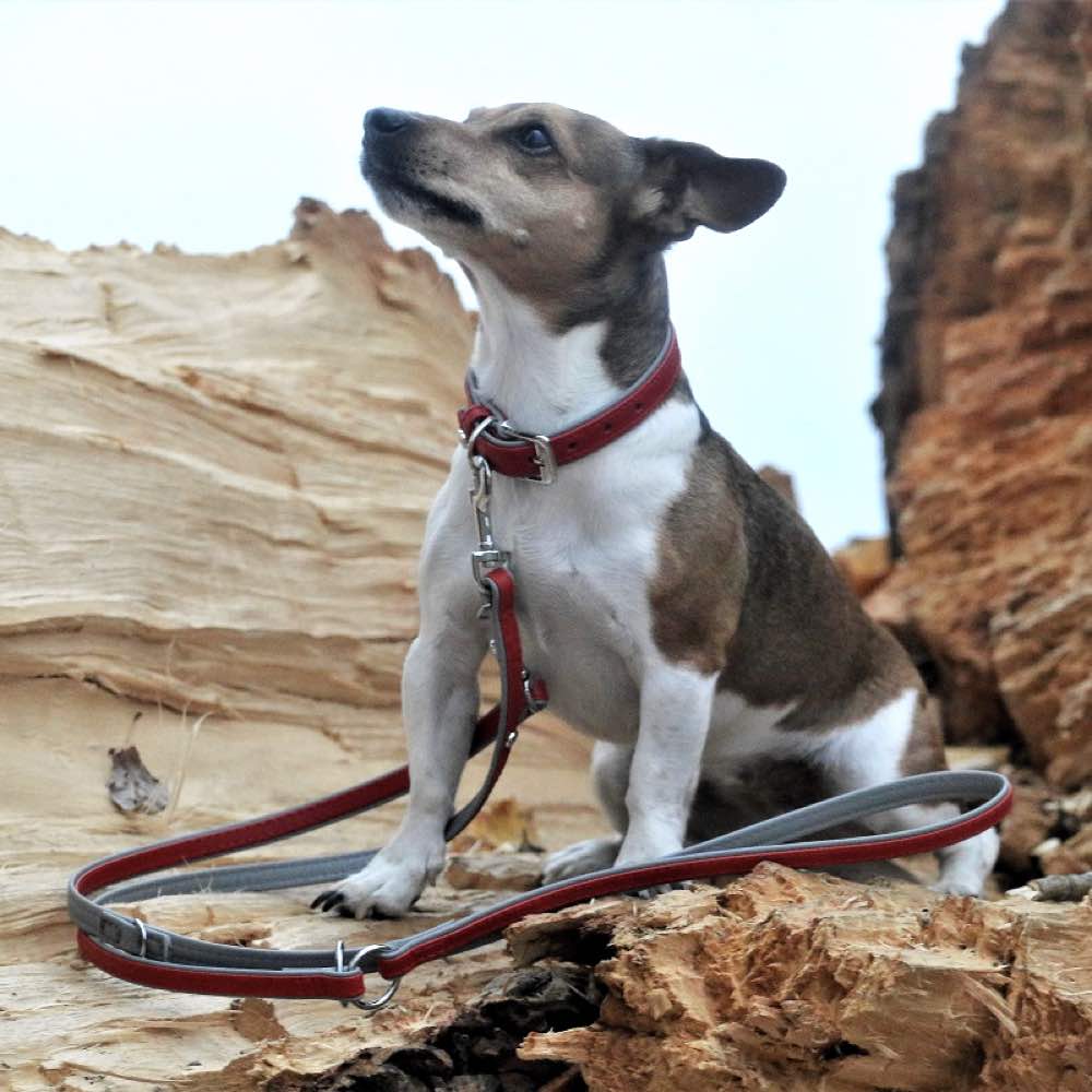 Das Lederband Firenze Leather Dog Leash (Carnelian/Stone)