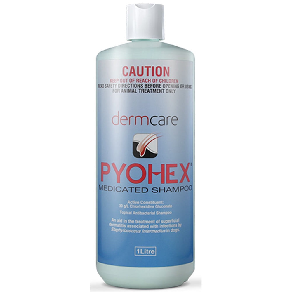 Dermcare Pyohex Medicated Dog Shampoo Kohepets