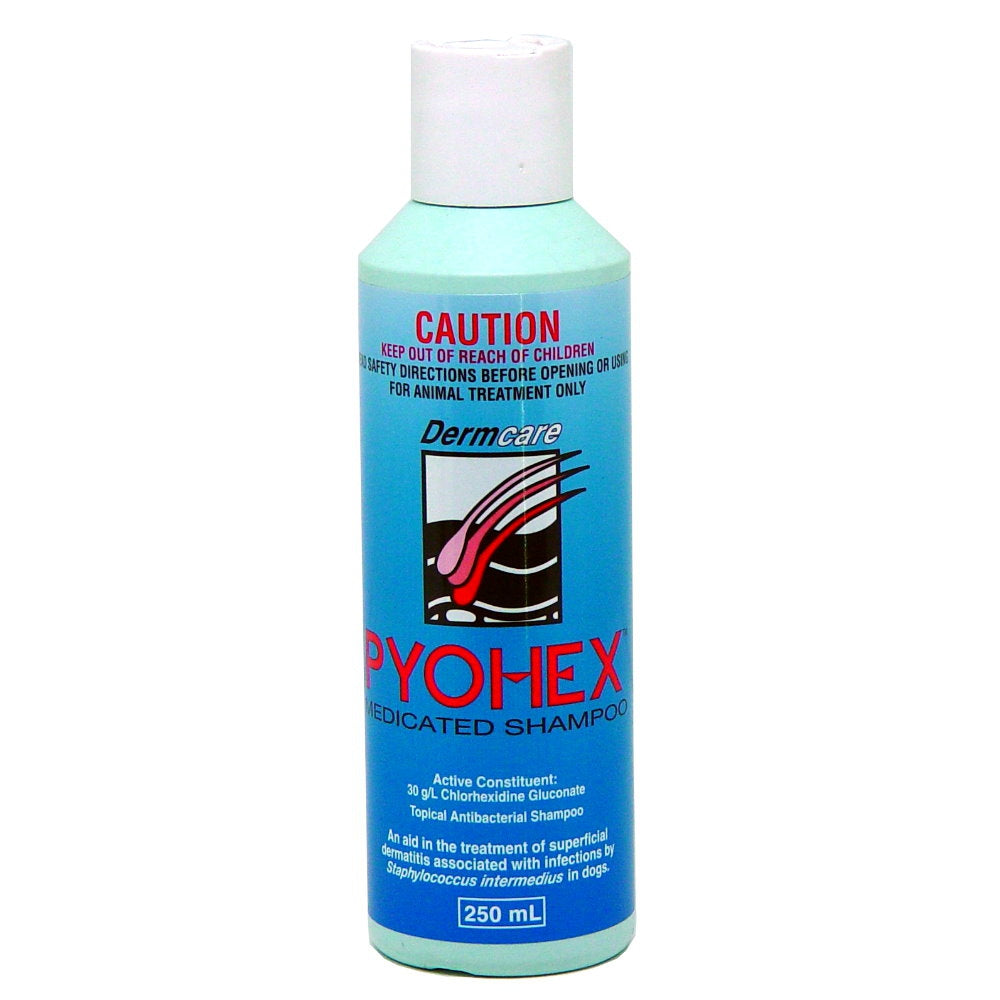 Dermcare Pyohex Medicated Dog Shampoo - Kohepets