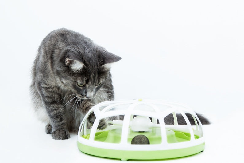 Catit Design Senses 1.0 Roundabout - Kohepets