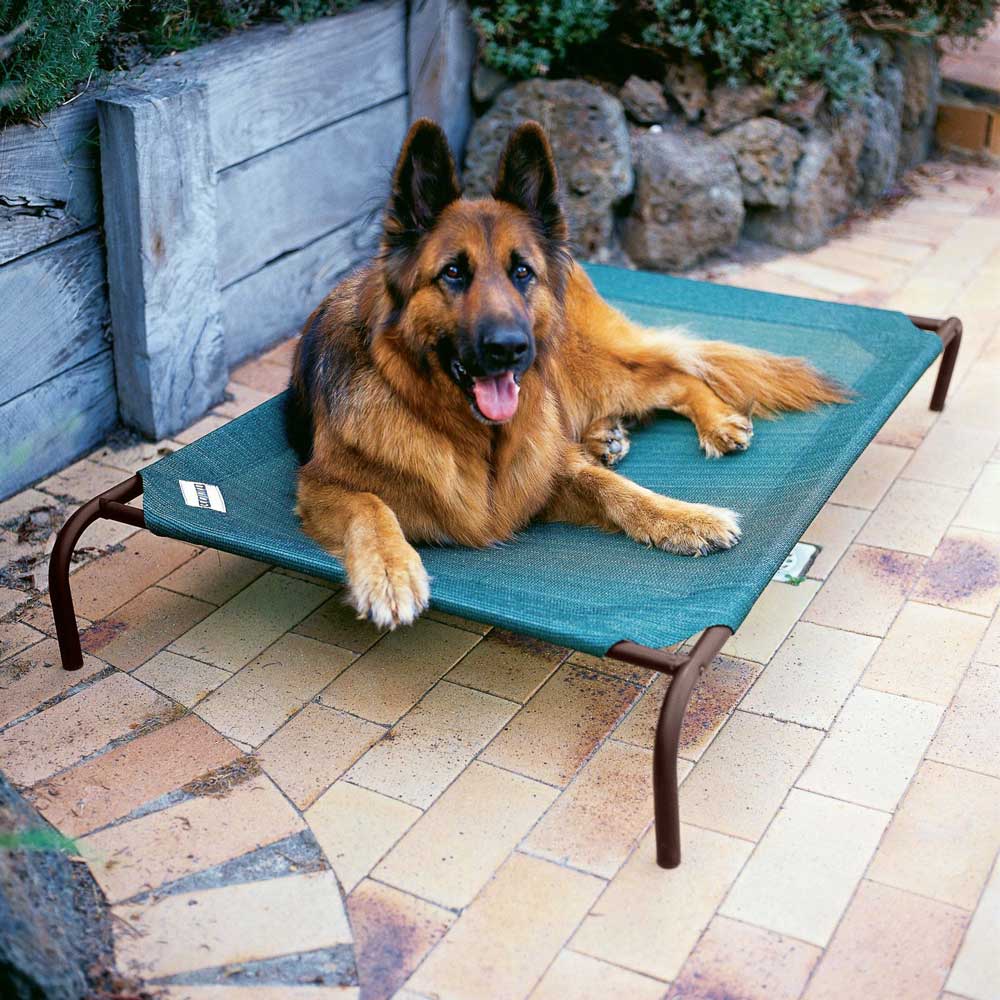 20% OFF: Coolaroo Elevated Knitted Fabric Pet Bed - Green - Kohepets