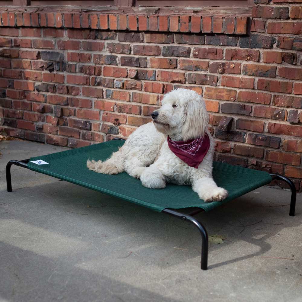 20% OFF: Coolaroo Elevated Knitted Fabric Pet Bed - Green - Kohepets