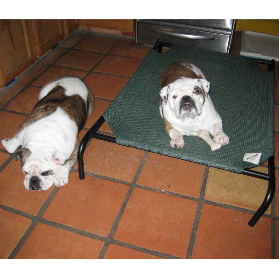 20% OFF: Coolaroo Elevated Knitted Fabric Pet Bed - Green - Kohepets