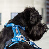 DOG Copenhagen Comfort Walk Air Dog Harness (Black)