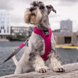DOG Copenhagen Comfort Walk Pro Dog Harness (Mocca)
