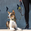 DOG Copenhagen Urban Explorer Dog Collar (Hunting Green)