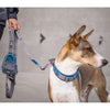 DOG Copenhagen Urban Explorer Dog Collar (Ocean Blue)