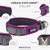 DOG Copenhagen Urban Explorer Dog Collar (Purple Passion)