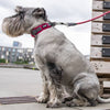 DOG Copenhagen Urban Explorer Dog Collar (Wild Rose)