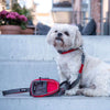 DOG Copenhagen Urban Trail Dog Leash (Classic Red)