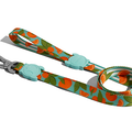 30% OFF: Zee.Dog Dog Leash (Florida) - Kohepets