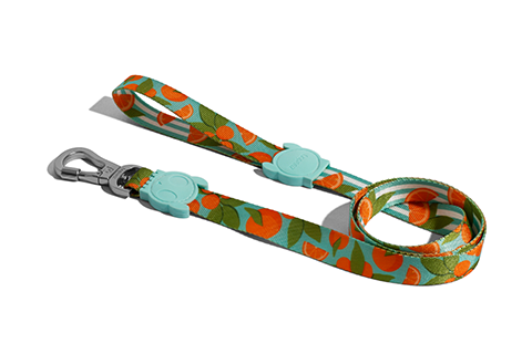 30% OFF: Zee.Dog Dog Leash (Florida) - Kohepets