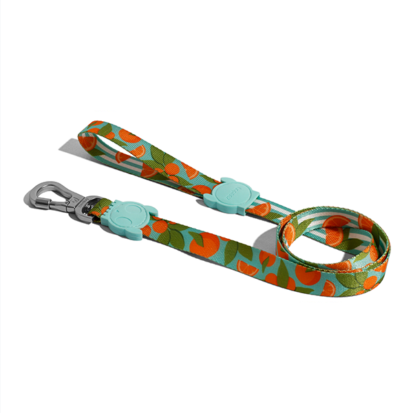 30% OFF: Zee.Dog Dog Leash (Florida) - Kohepets