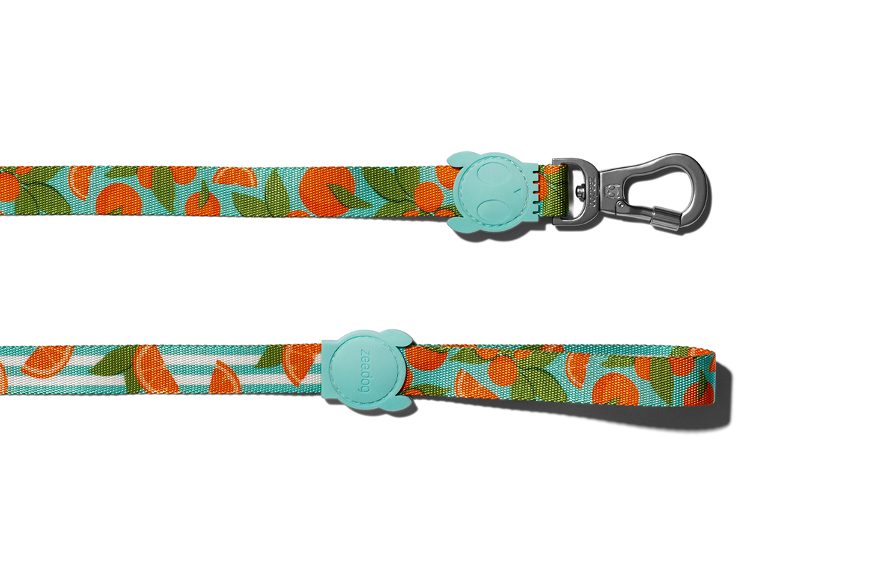 30% OFF: Zee.Dog Dog Leash (Florida) - Kohepets