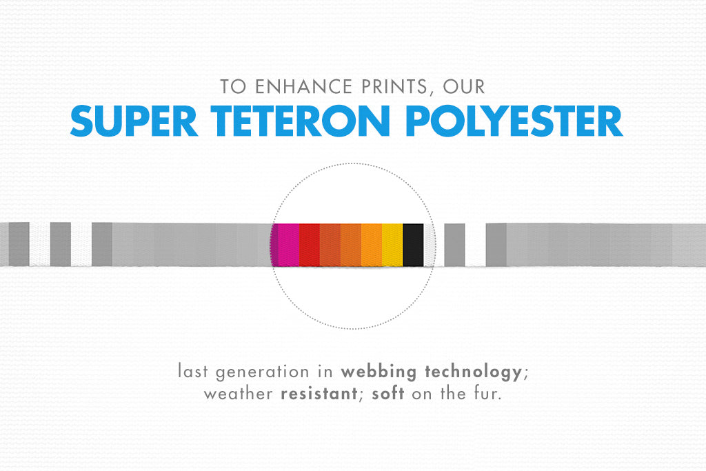 30% OFF: Zee.Dog Dog Leash (Prisma) - Kohepets