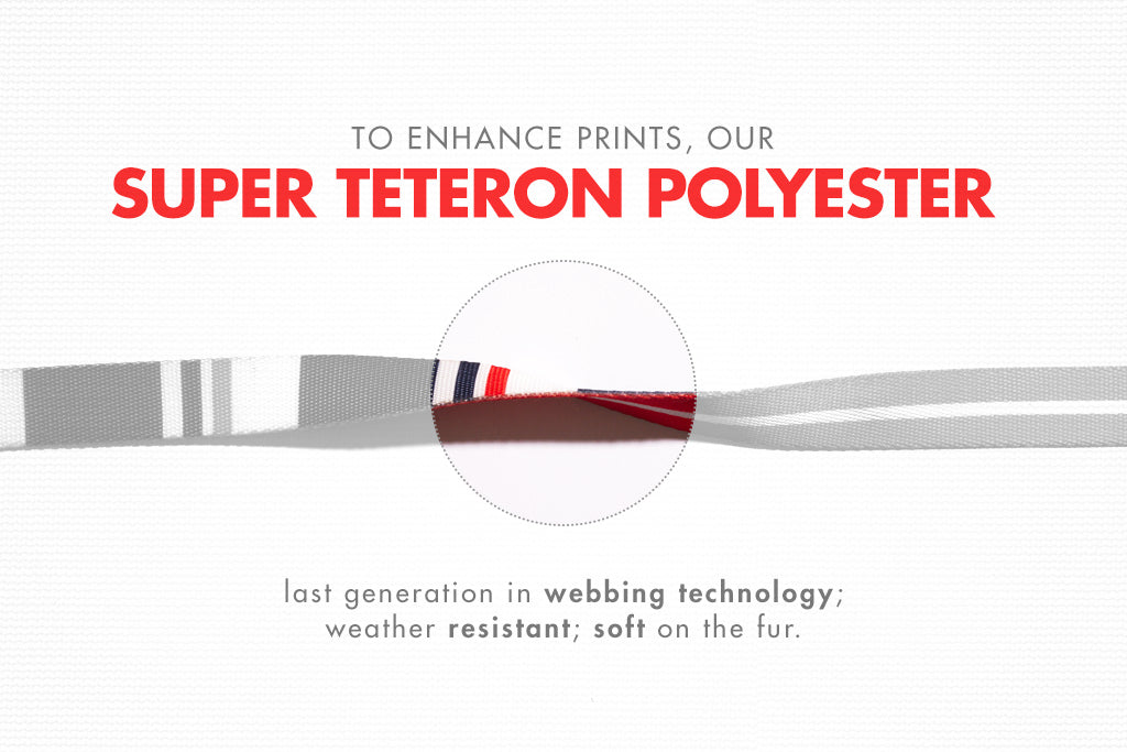 30% OFF: Zee.Dog Dog Leash (Rocket) - Kohepets