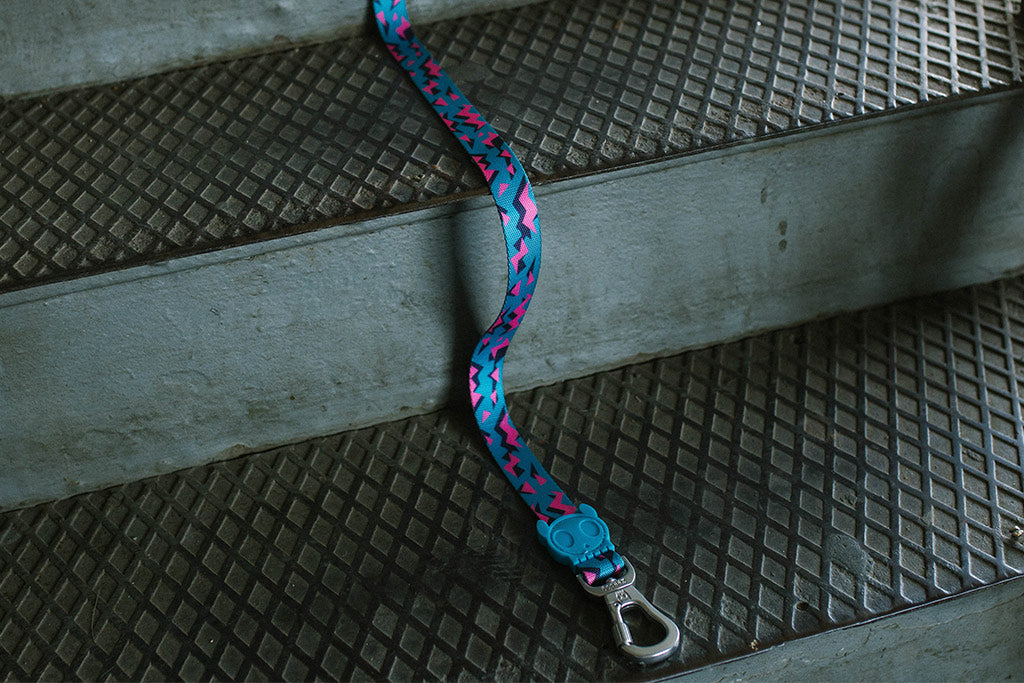 30% OFF: Zee.Dog Dog Leash (Crosby) - Kohepets